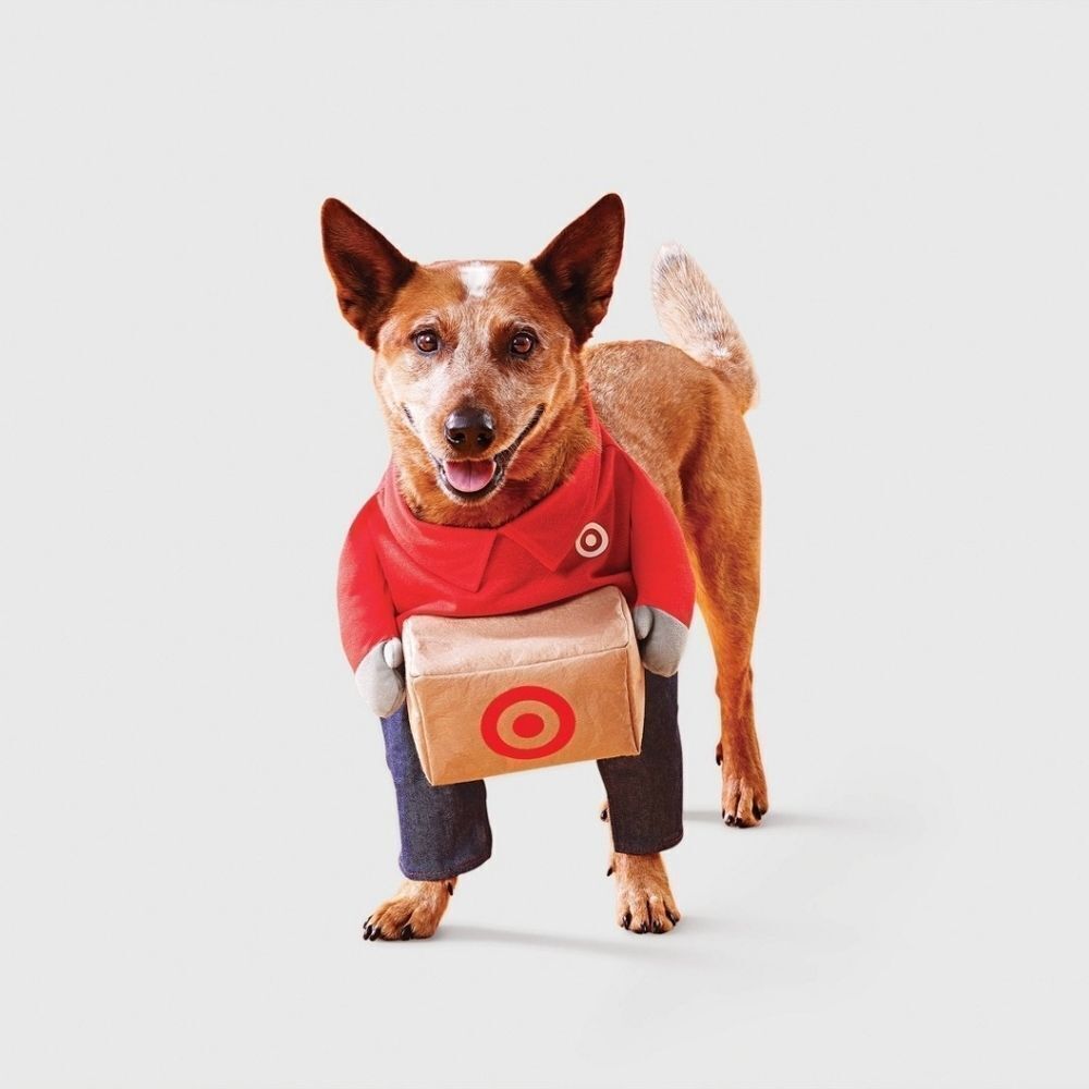 Nwt Target Team Member Jeans Cat Frontal Costume -Boots & Barkley